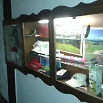 Buechner Garni Hotel 3*