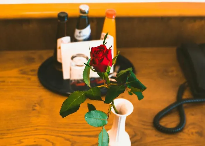 Buechner Garni Hotel Bad König